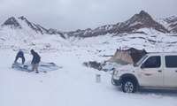  بارش برف موجب خوشحالی عشایر خراسان جنوبی شد 