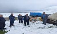 بارش برف در بهار عشایر ییلاقات اردبیل را غافلگیر کرد