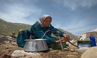سامانه های عشایری شرق گچساران از آب بهداشتی برخوردار می شوند