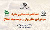 انعقاد تفاهم نامه همکاری مشترک برای واردات 500 هزار تن نهاده دامی عشایر