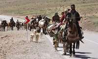  5 فروردین زمان آغاز کوچ بهاره عشایر فارس
