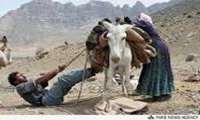 خشکسالی کوچ بهاره عشاير خراسان جنوبی را به تاخير انداخت